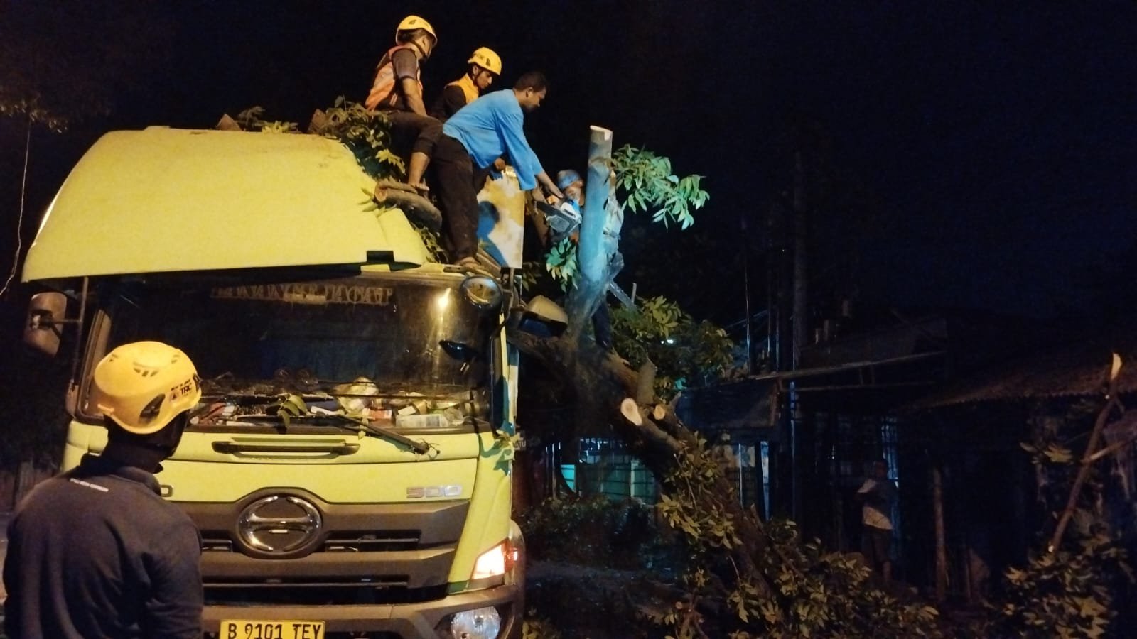 Diduga Akibat Pelapukan, Pohon di Jalan Diponegoro Cirebon Tumbang Timpa Truk Kontainer